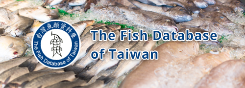 The Fish Database of Taiwan - Open Link in New Window