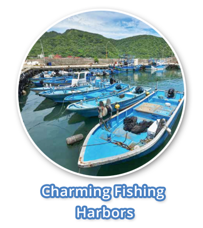 Charming Fishing Harbors